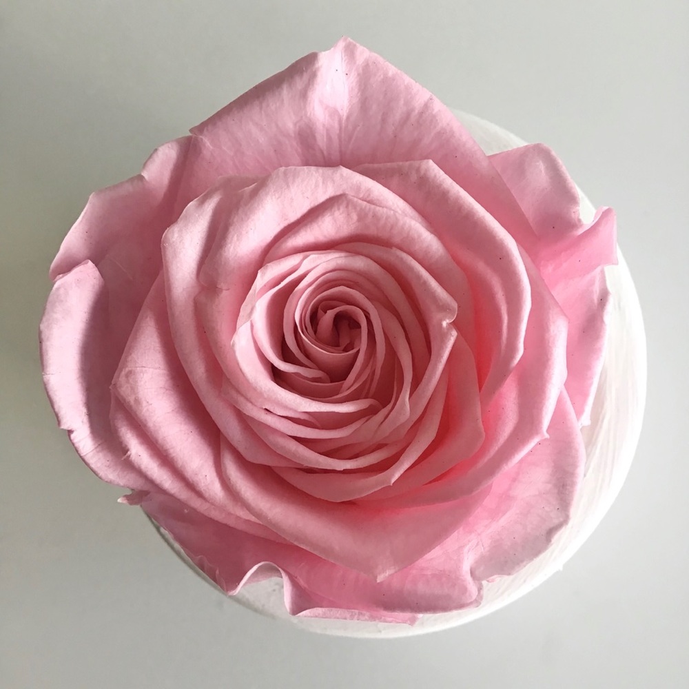 Valentine Gift 🌹Forever Rose